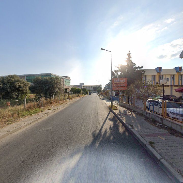 Fotoğraf 8