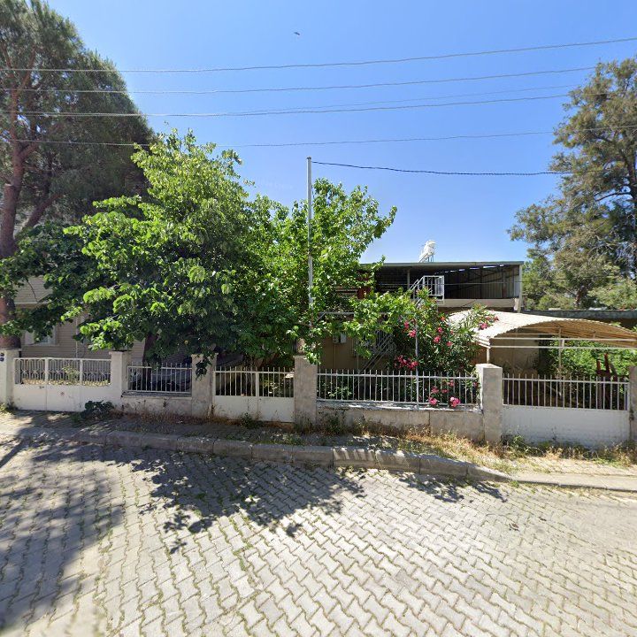 Fotoğraf 7