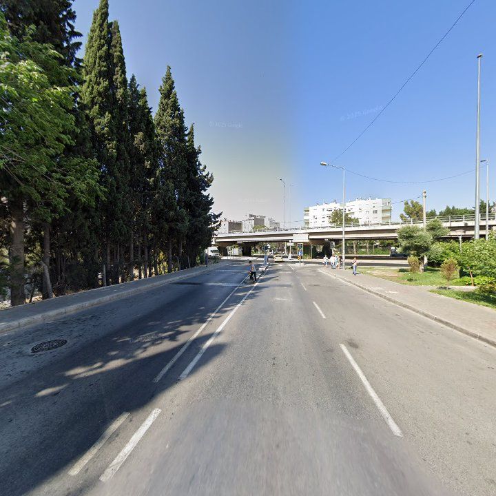 Fotoğraf 12