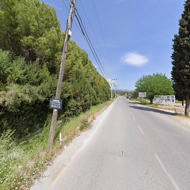 Fotoğraf 7