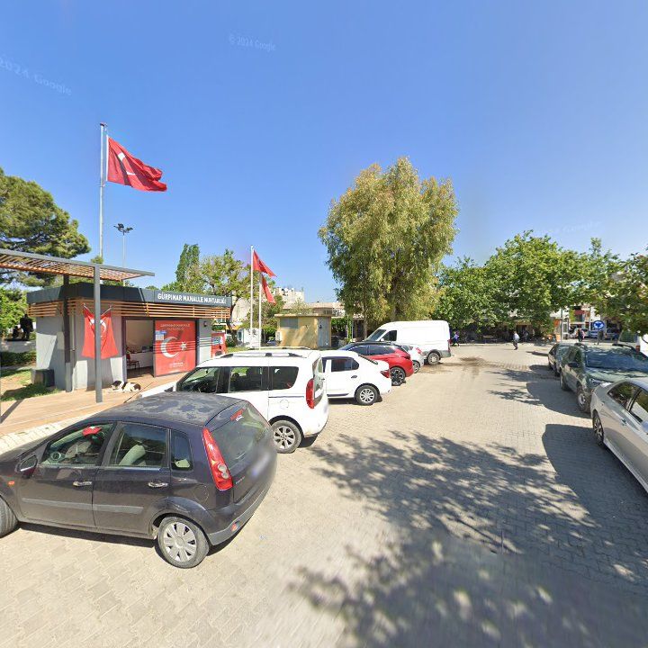 Fotoğraf 7
