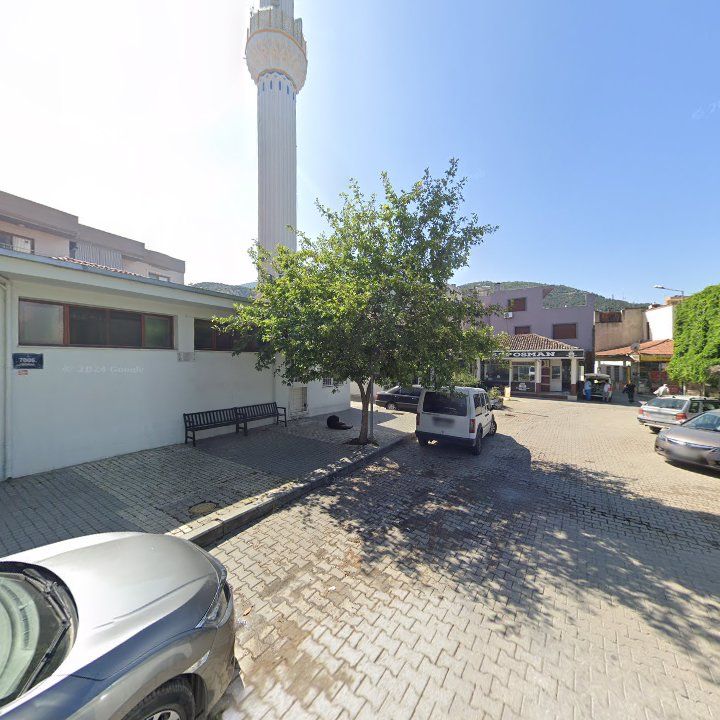 Fotoğraf 9