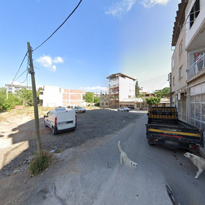 Fotoğraf 4