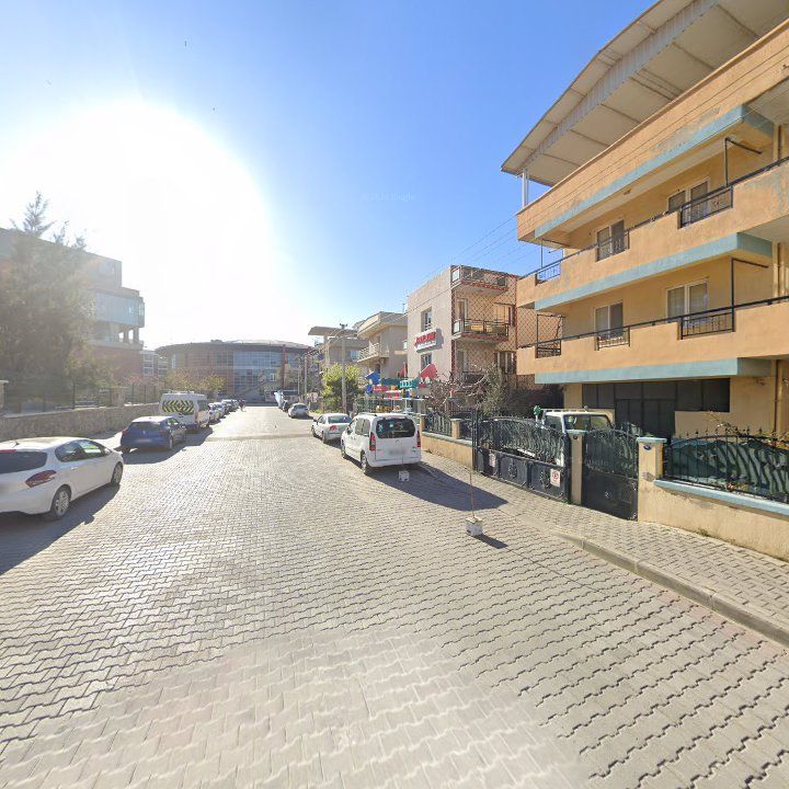 Fotoğraf 6