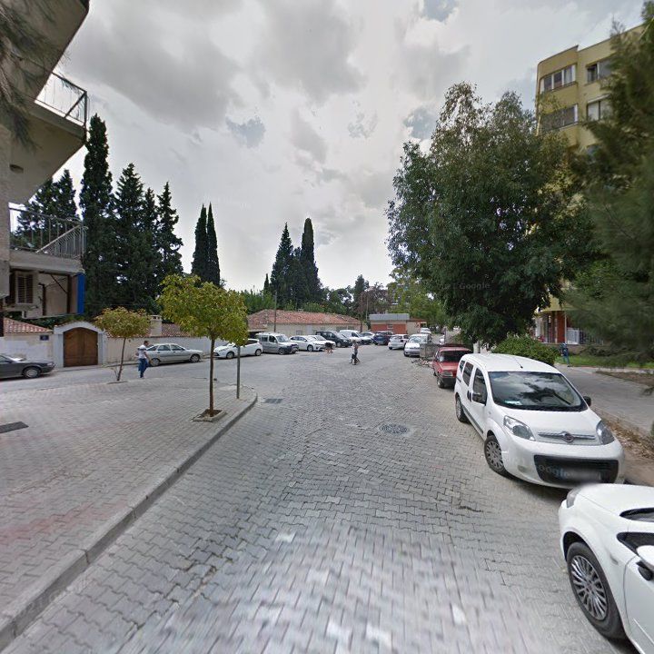 Fotoğraf 7