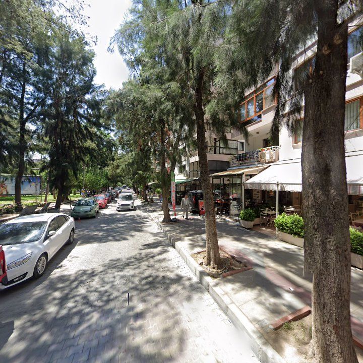 Fotoğraf 10