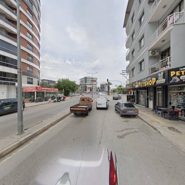 Fotoğraf 9