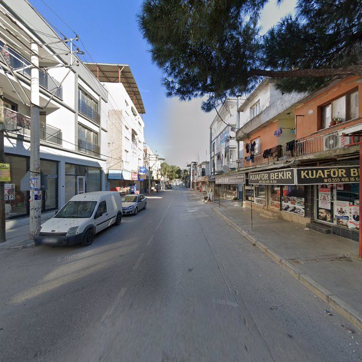 Fotoğraf 8