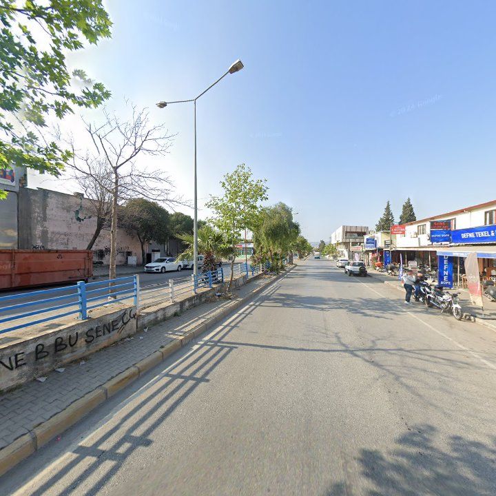 Fotoğraf 7