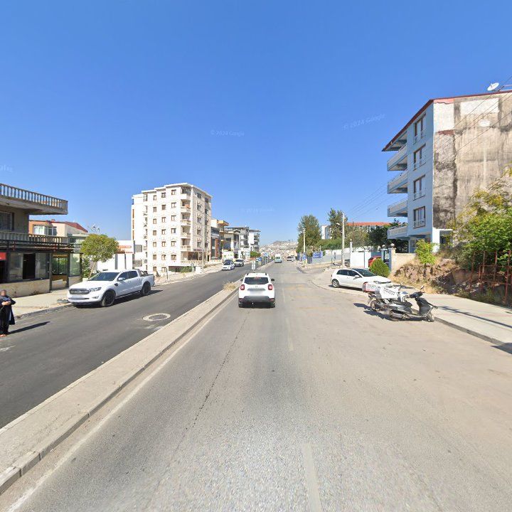 Fotoğraf 11