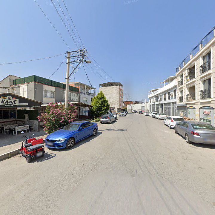 Fotoğraf 12