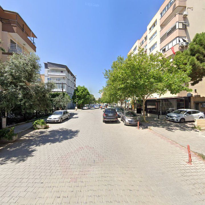 Fotoğraf 11