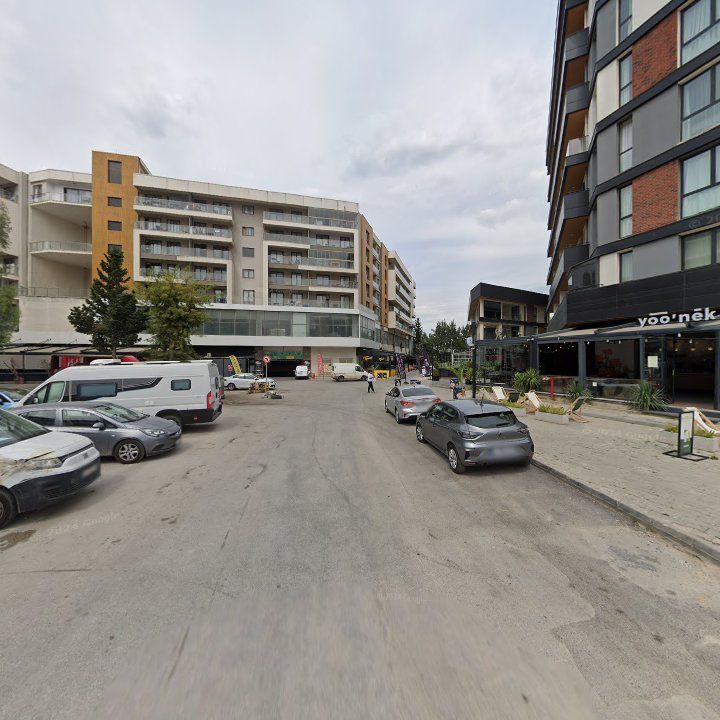 Fotoğraf 11