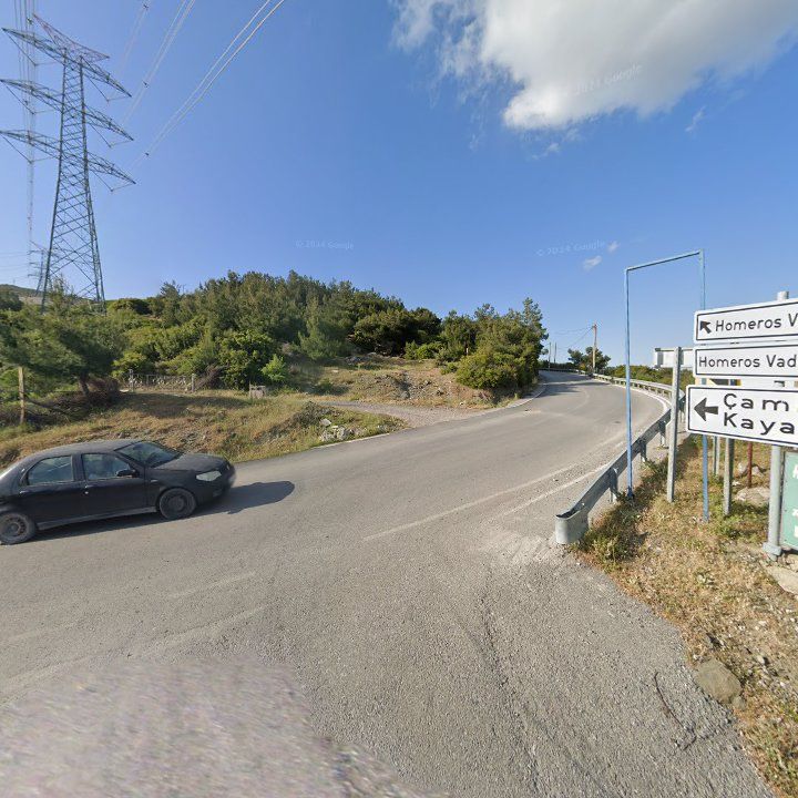 Fotoğraf 10