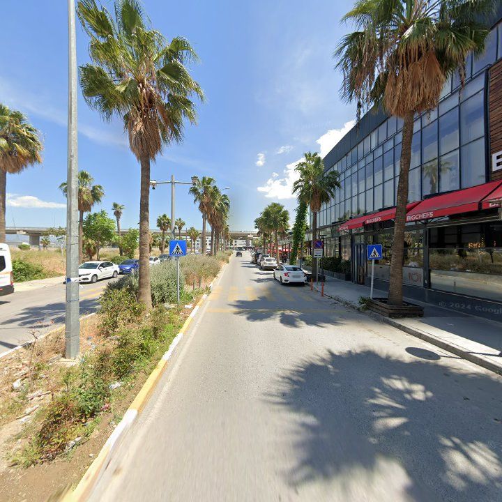 Fotoğraf 11
