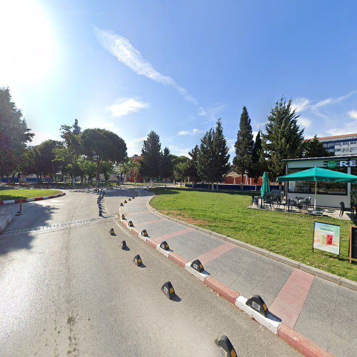Fotoğraf 11