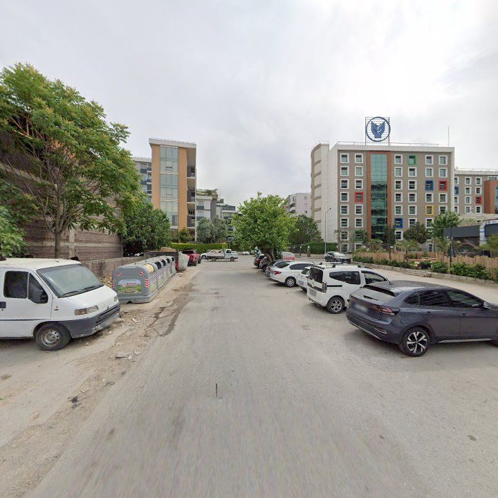 Fotoğraf 9