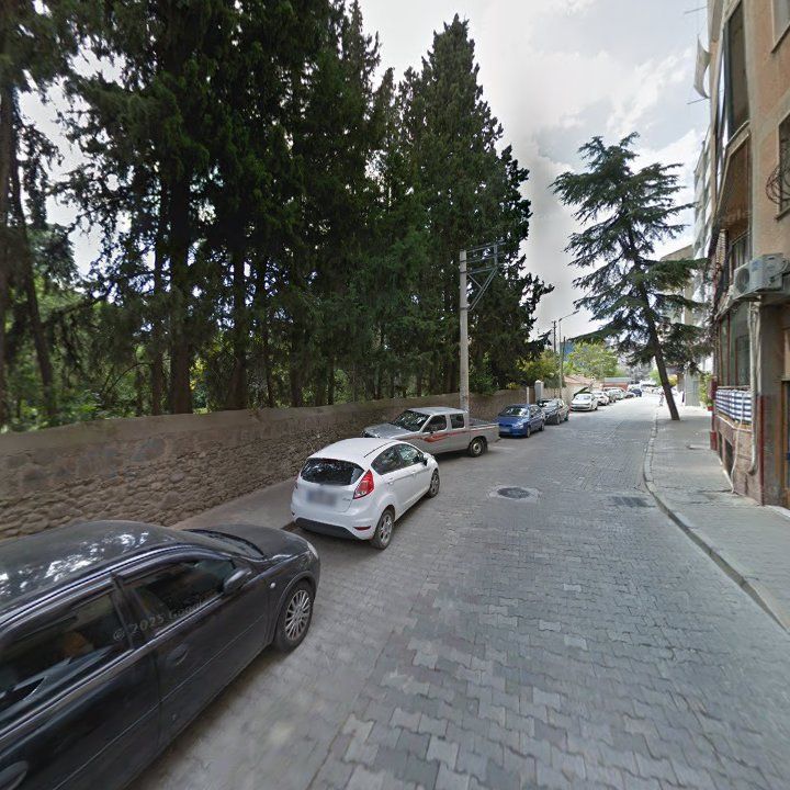 Fotoğraf 10