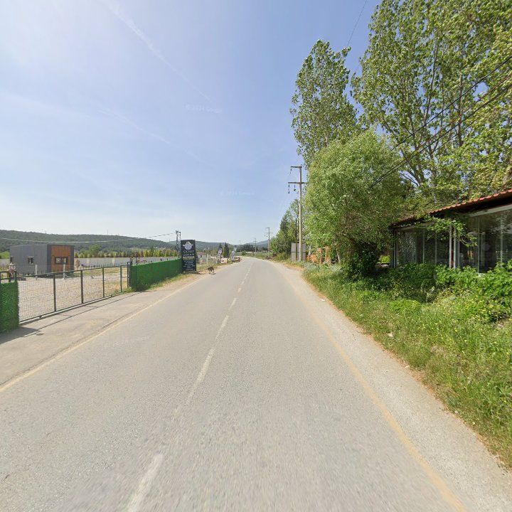 Fotoğraf 10