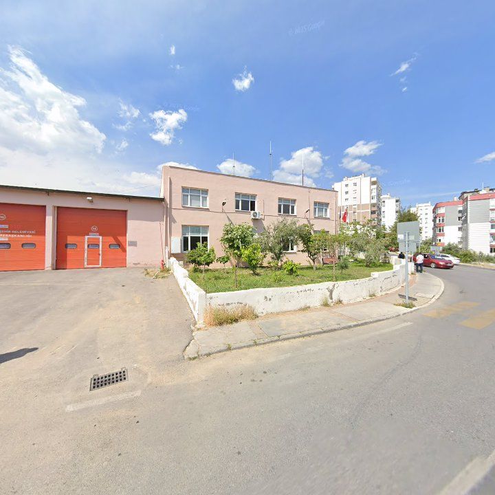 Fotoğraf 8