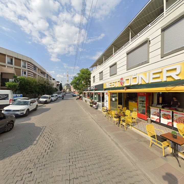 Fotoğraf 10