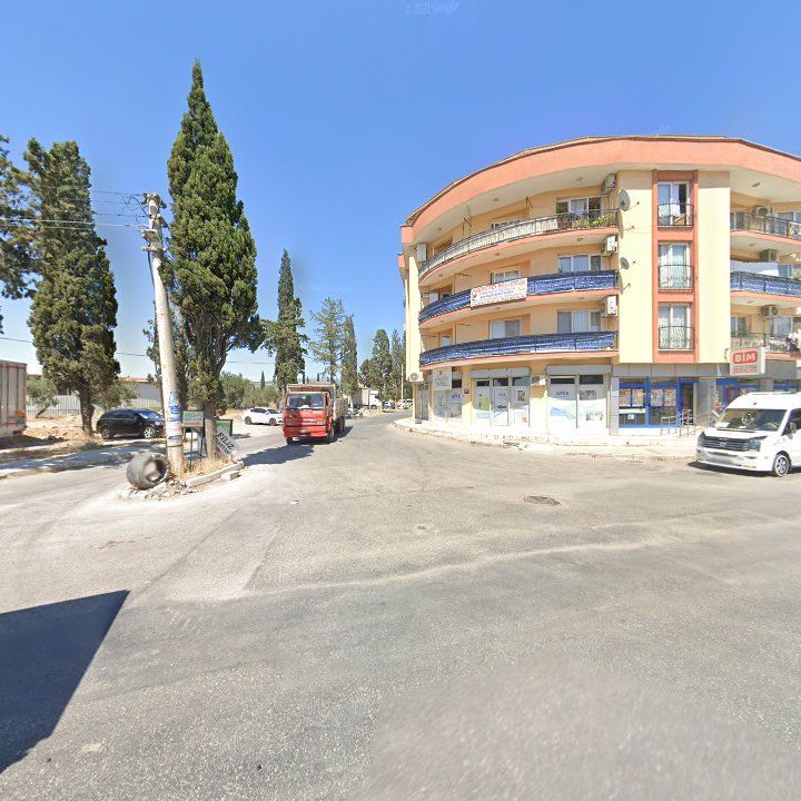 Fotoğraf 9
