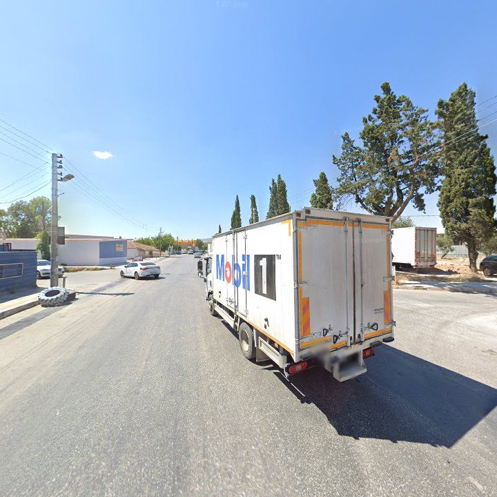 Fotoğraf 8