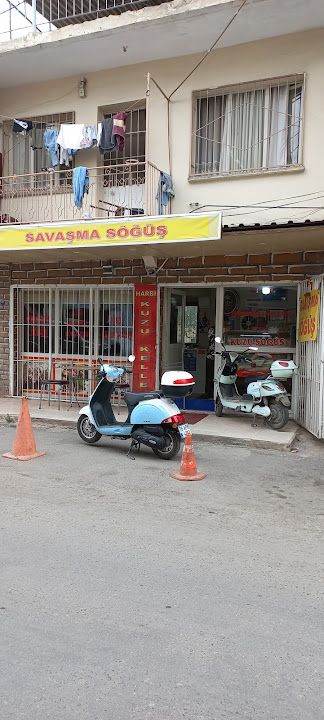 Savaşma Söğüş
