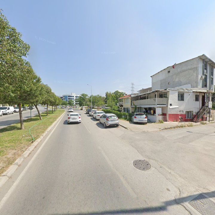 Fotoğraf 10