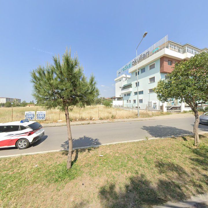 Fotoğraf 11