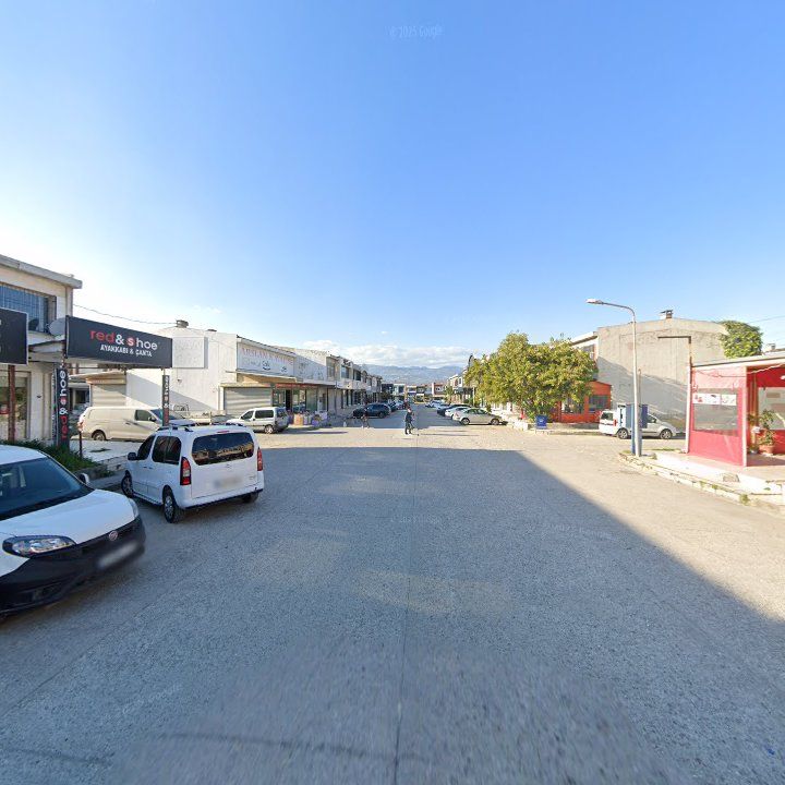 Fotoğraf 9