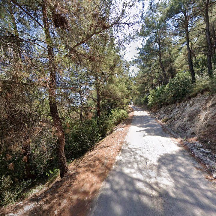 Fotoğraf 11