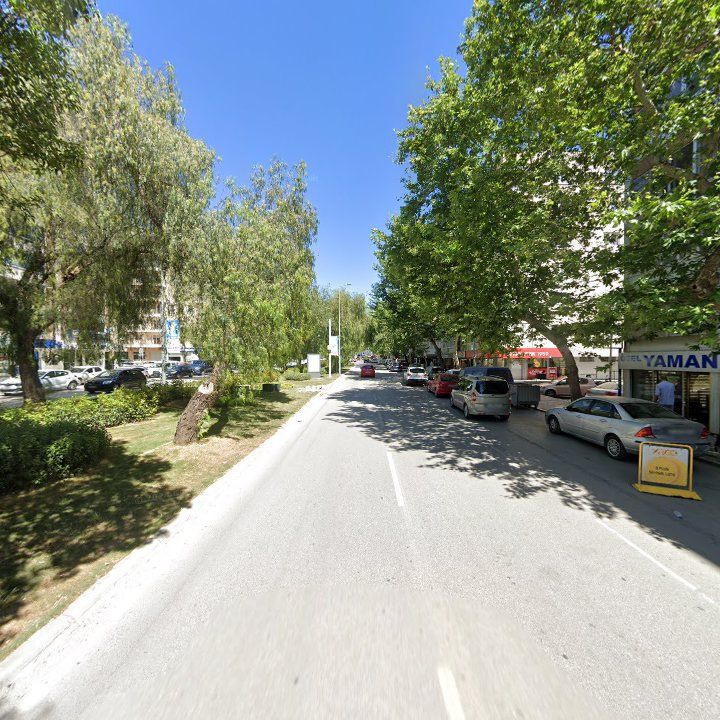 Fotoğraf 12