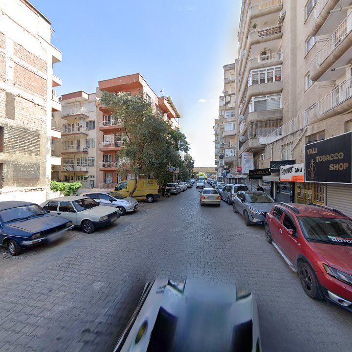 Fotoğraf 8