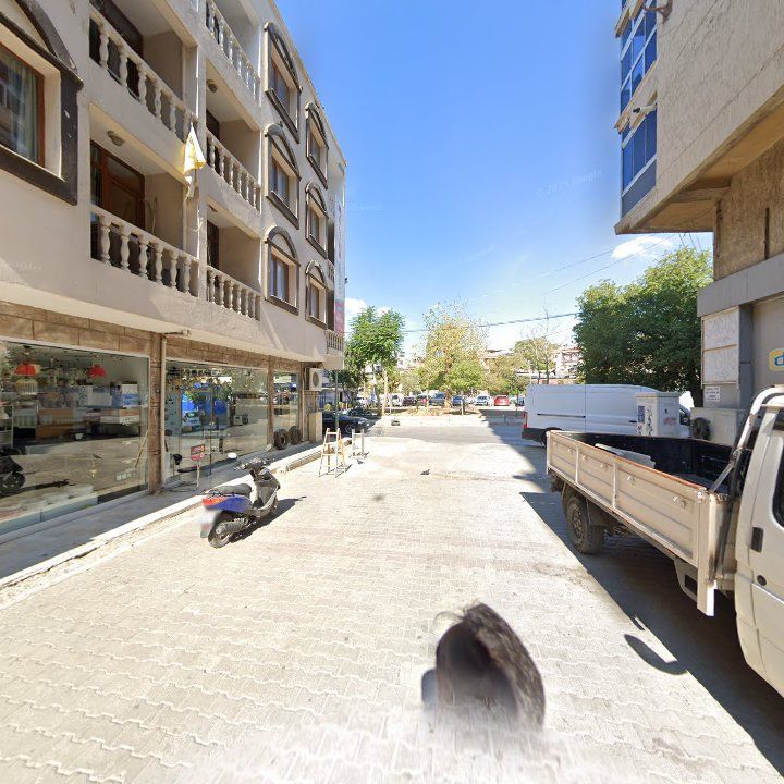 Fotoğraf 8