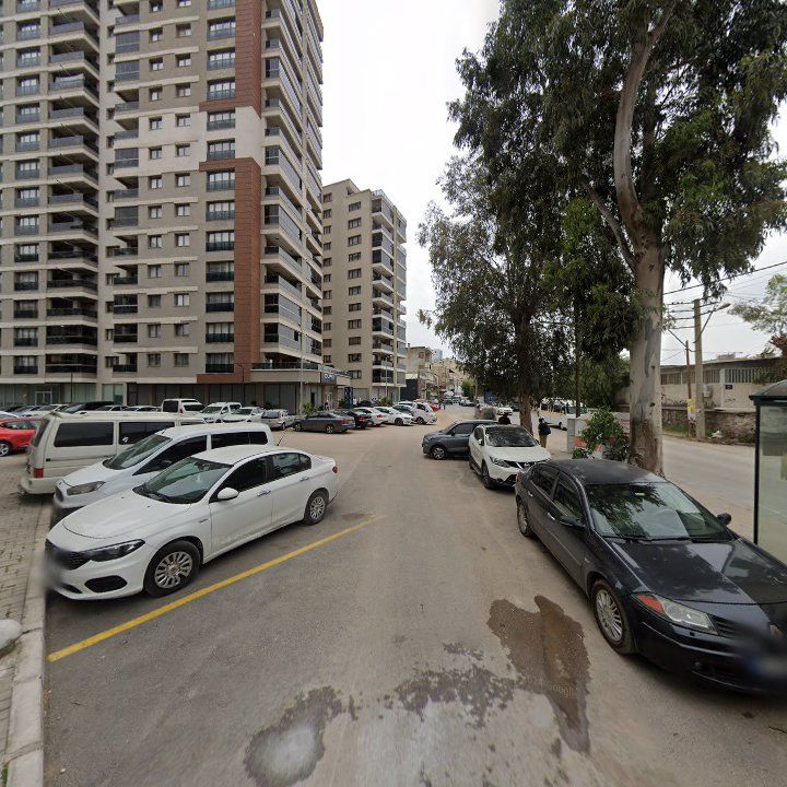 Fotoğraf 9