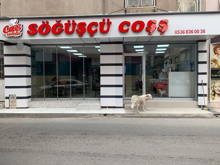 Söğüşcü Coşş