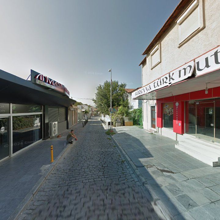 Fotoğraf 10