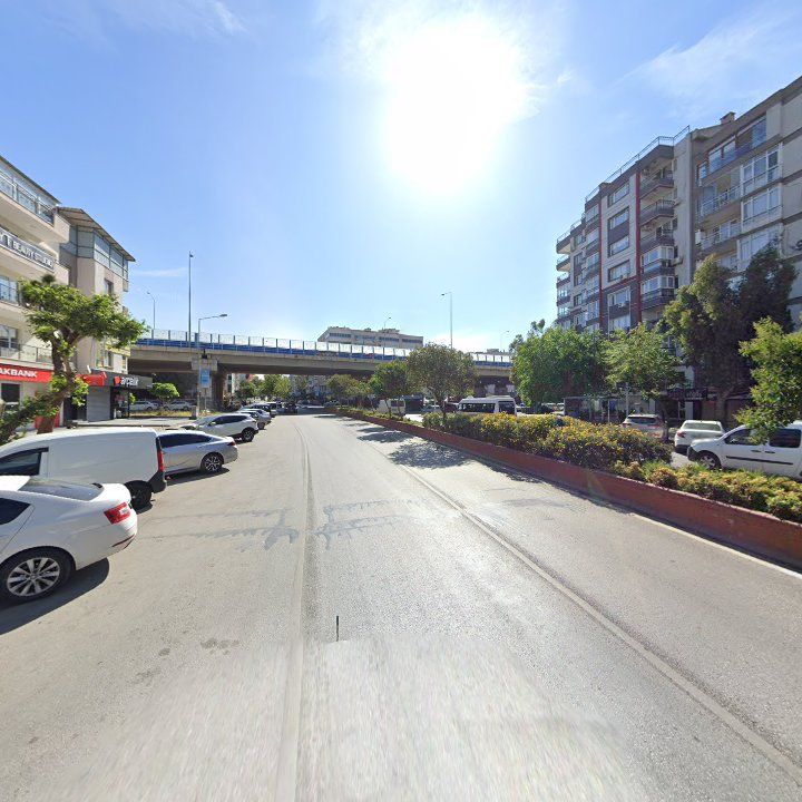 Fotoğraf 11