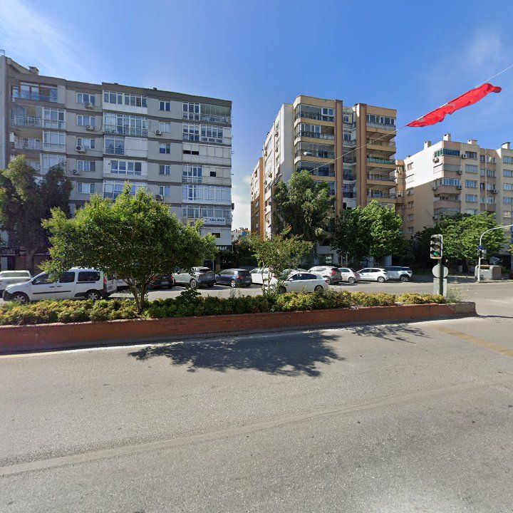 Fotoğraf 12