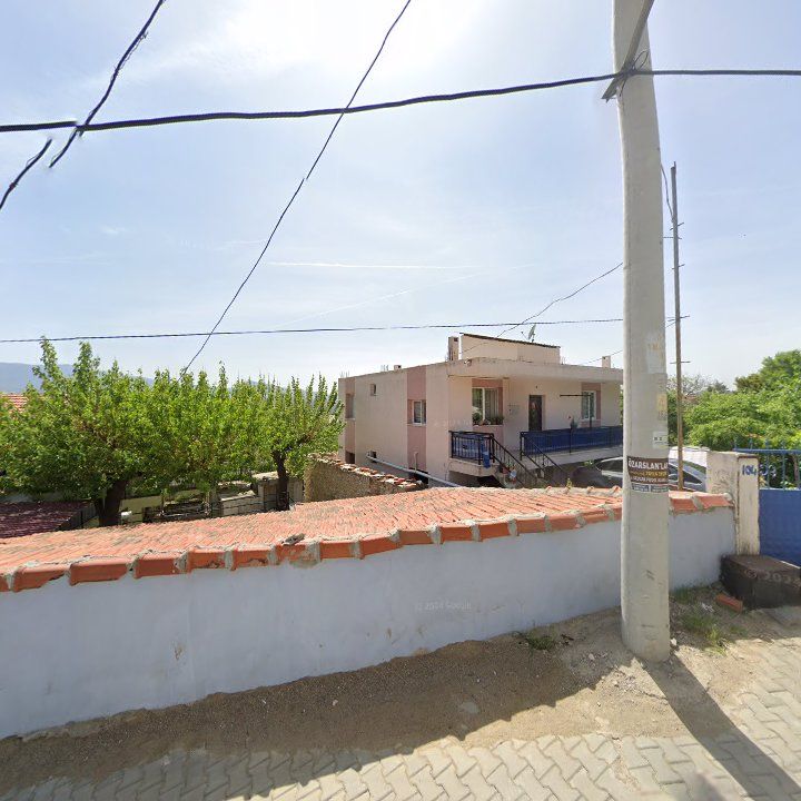 Fotoğraf 9