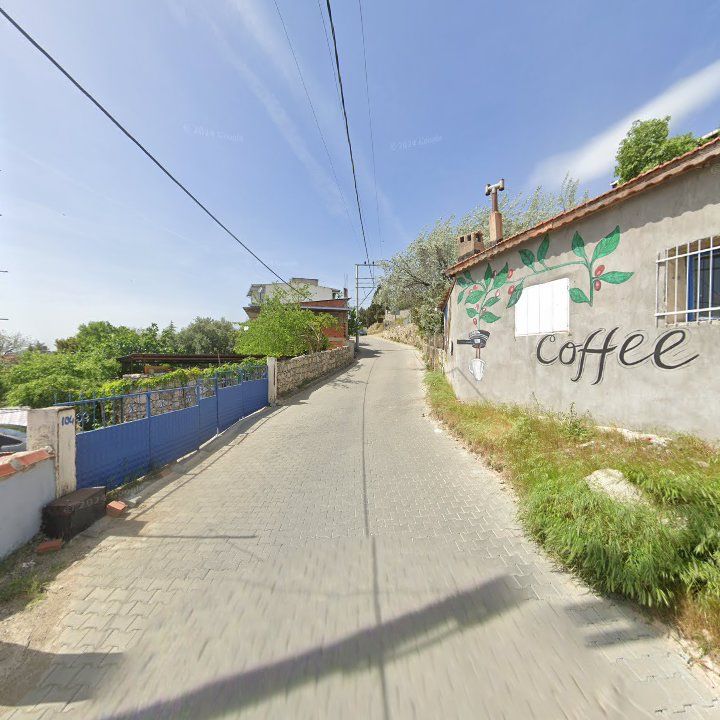 Fotoğraf 10