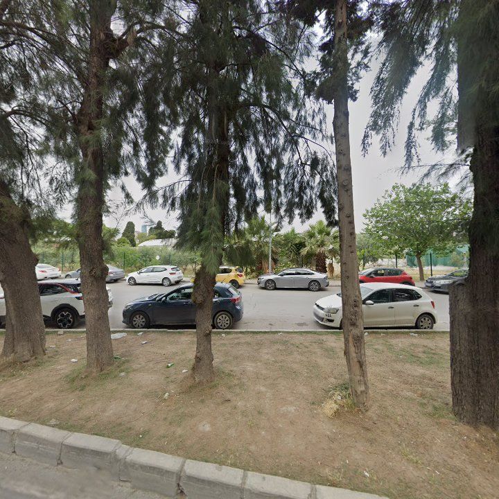Fotoğraf 10