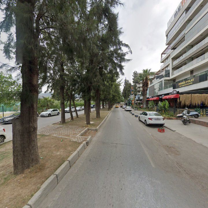 Fotoğraf 11