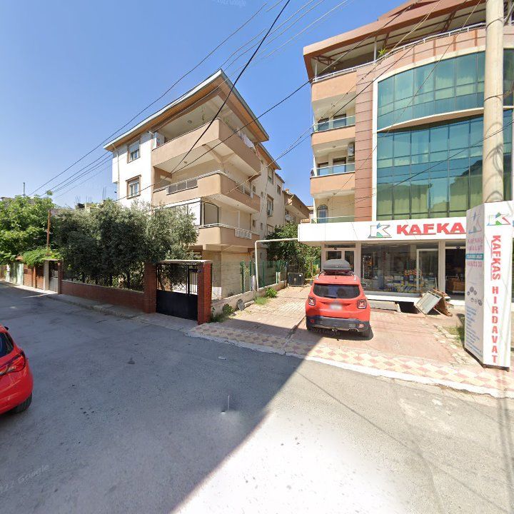 Fotoğraf 9