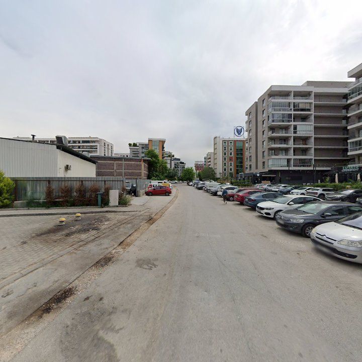 Fotoğraf 10