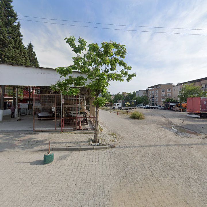 Fotoğraf 9
