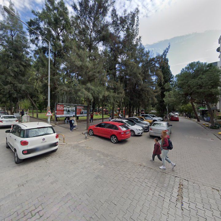Fotoğraf 10