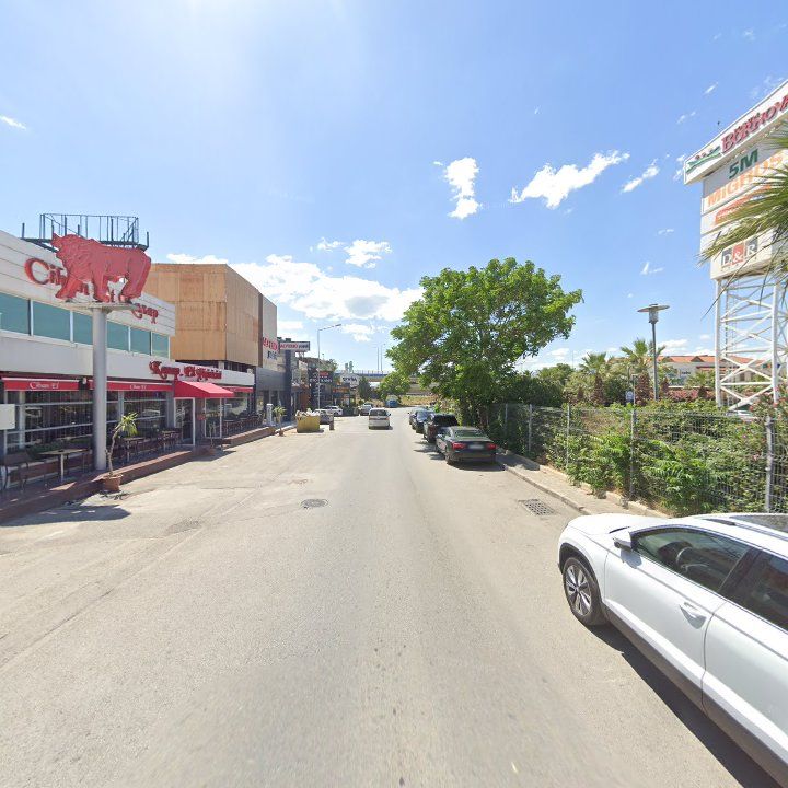 Fotoğraf 9