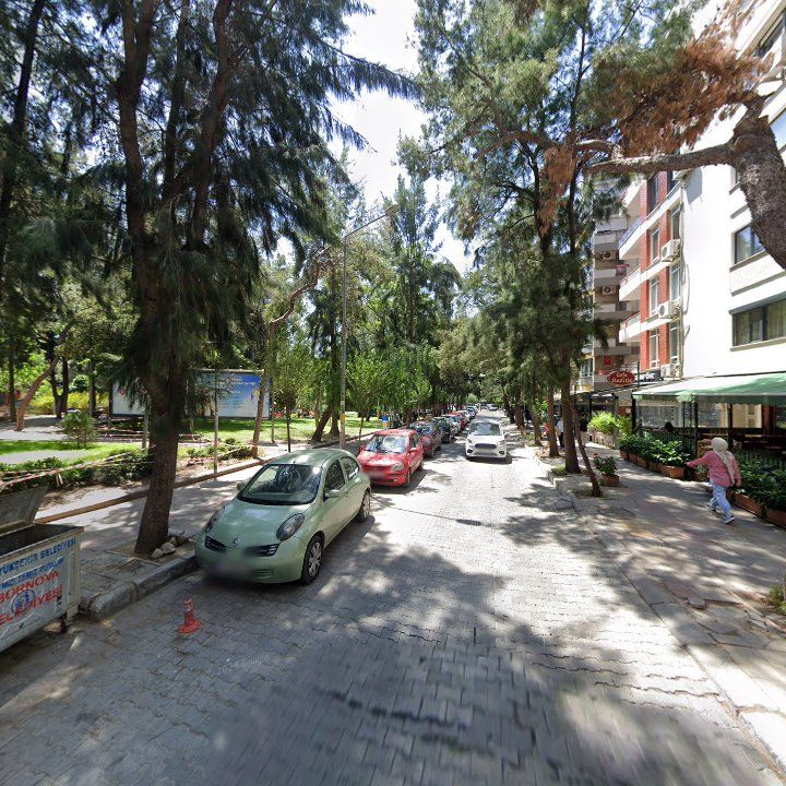 Fotoğraf 13